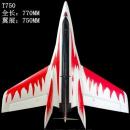 T750　STINGER　超高速デルタ機　機体キット